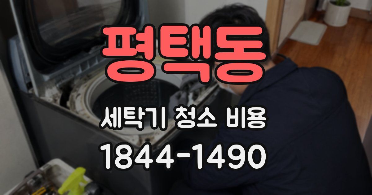 평택동 세탁기 청소 비용