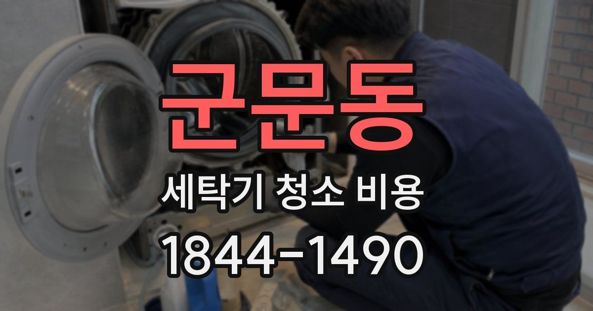군문동 세탁기 청소 비용