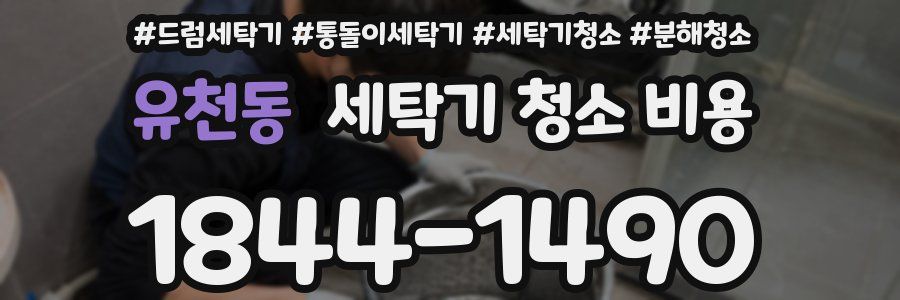 유천동 세탁기 청소 비용