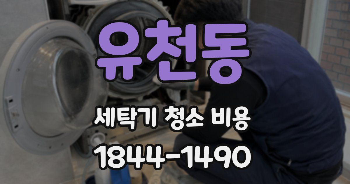 유천동 세탁기 청소 비용