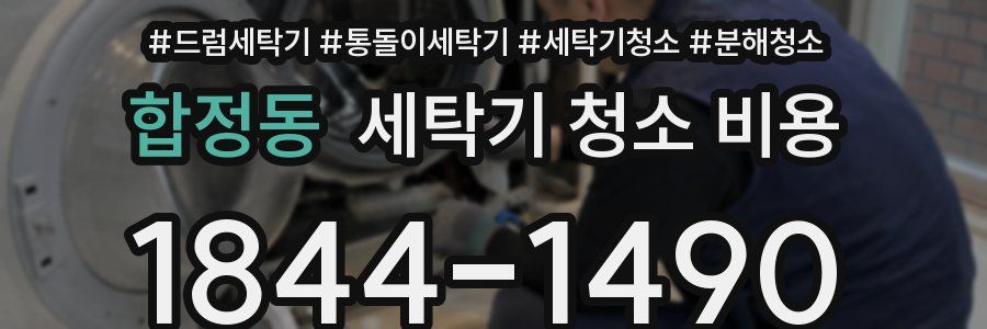 합정동 세탁기 청소 비용