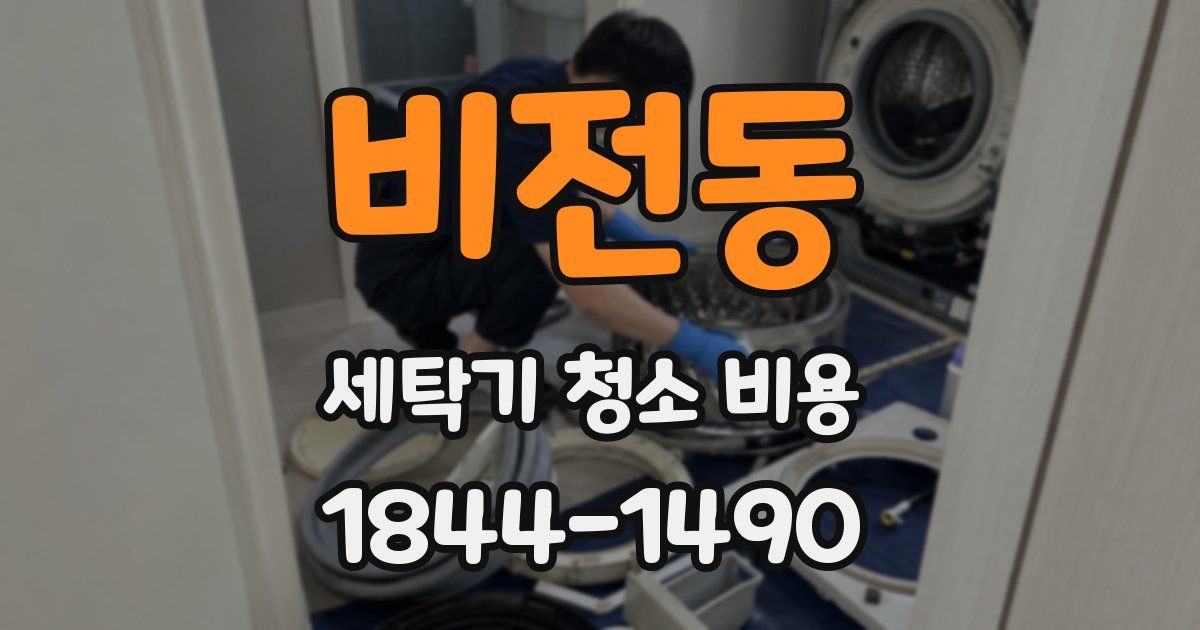 비전동 세탁기 청소 비용