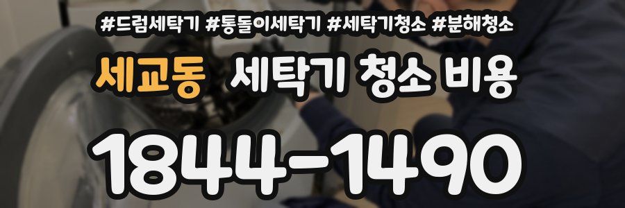 세교동 세탁기 청소 비용