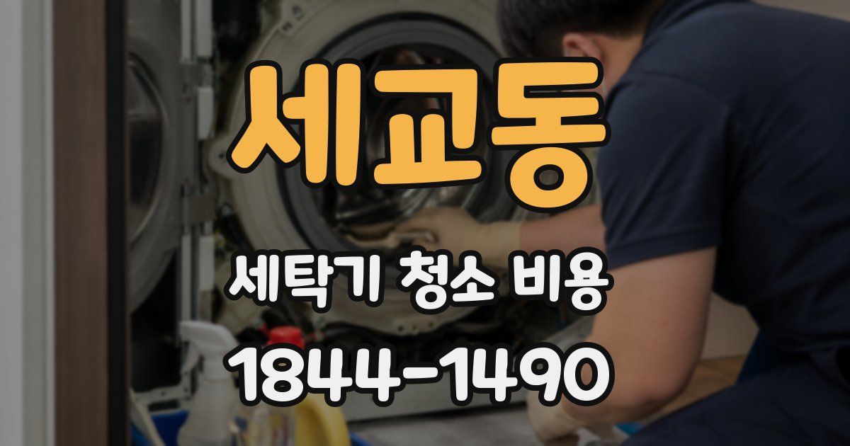 세교동 세탁기 청소 비용