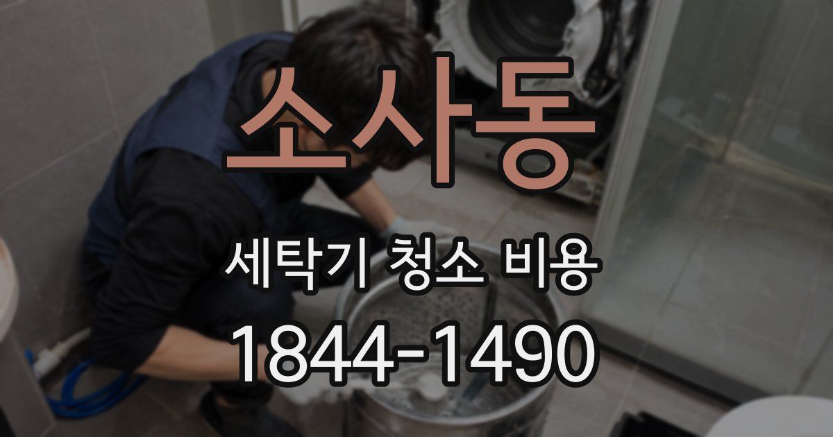 소사동 세탁기 청소 비용