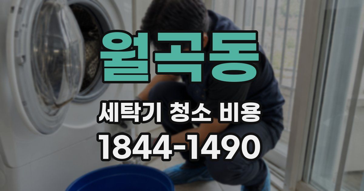 월곡동 세탁기 청소 비용