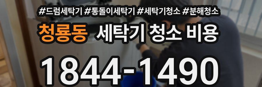 청룡동 세탁기 청소 비용