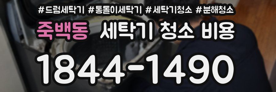 죽백동 세탁기 청소 비용