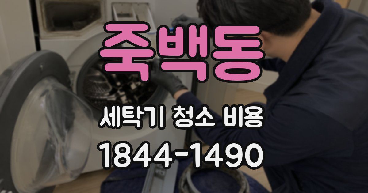 죽백동 세탁기 청소 비용