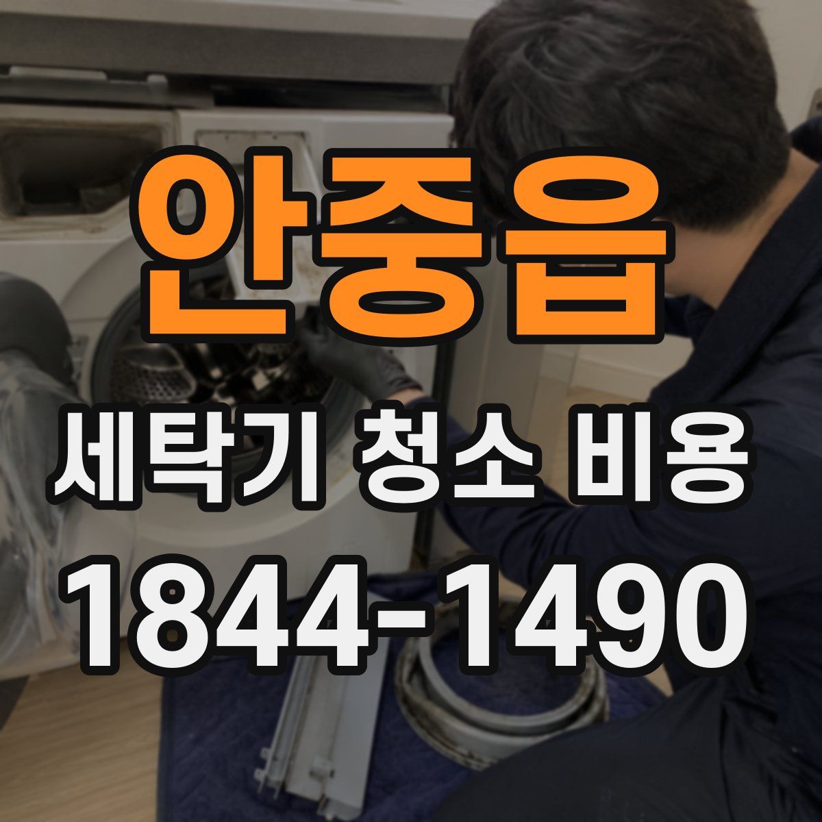 안중읍 세탁기 청소 비용