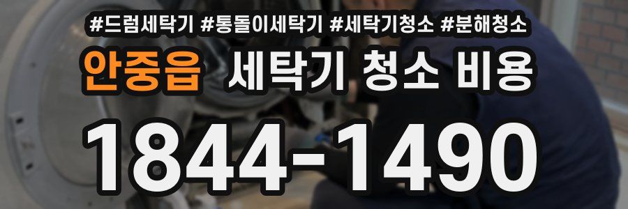안중읍 세탁기 청소 비용