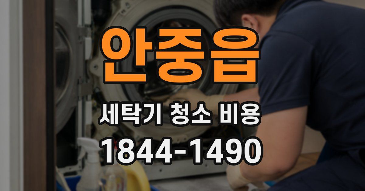 안중읍 세탁기 청소 비용