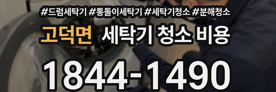 고덕면 세탁기 청소 비용