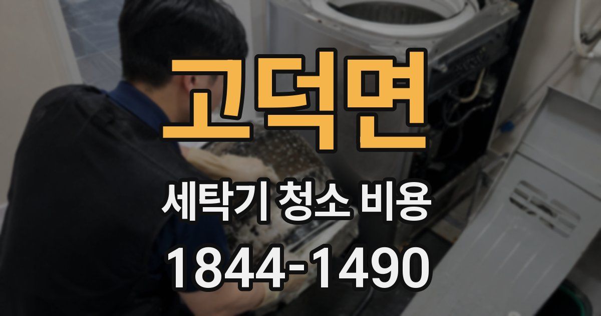 고덕면 세탁기 청소 비용