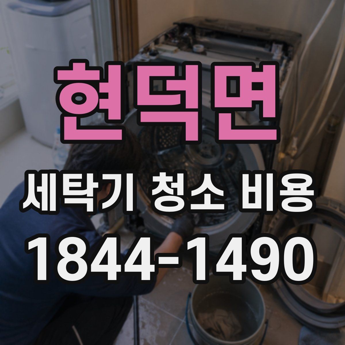 현덕면 세탁기 청소 비용 세탁조 곰팡이 제거 범위는 어디까지일까
