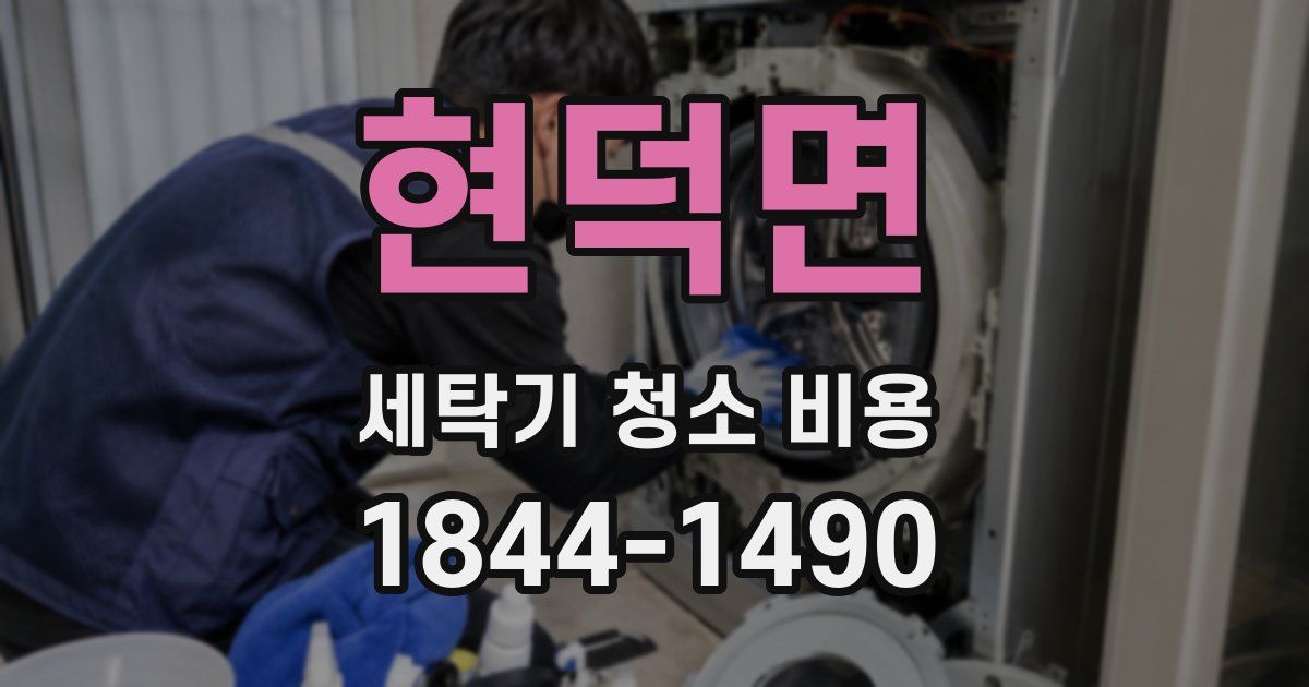 현덕면 세탁기 청소 비용
