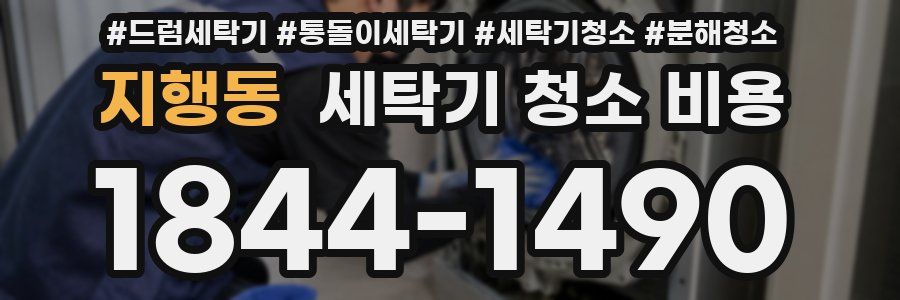 지행동 세탁기 청소 비용