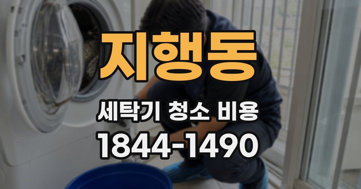지행동 세탁기 청소 비용
