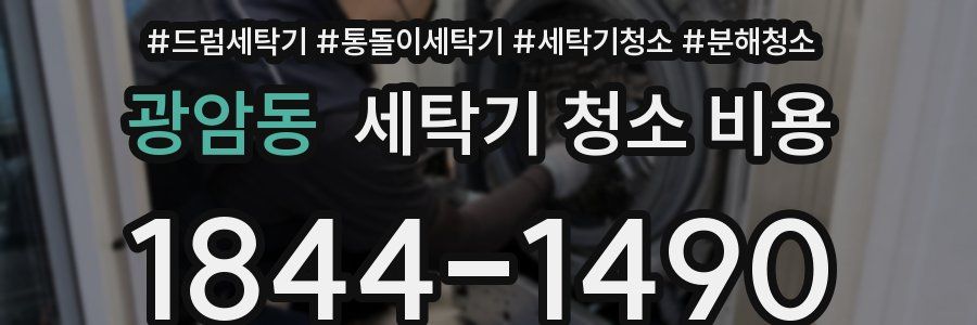 광암동 세탁기 청소 비용