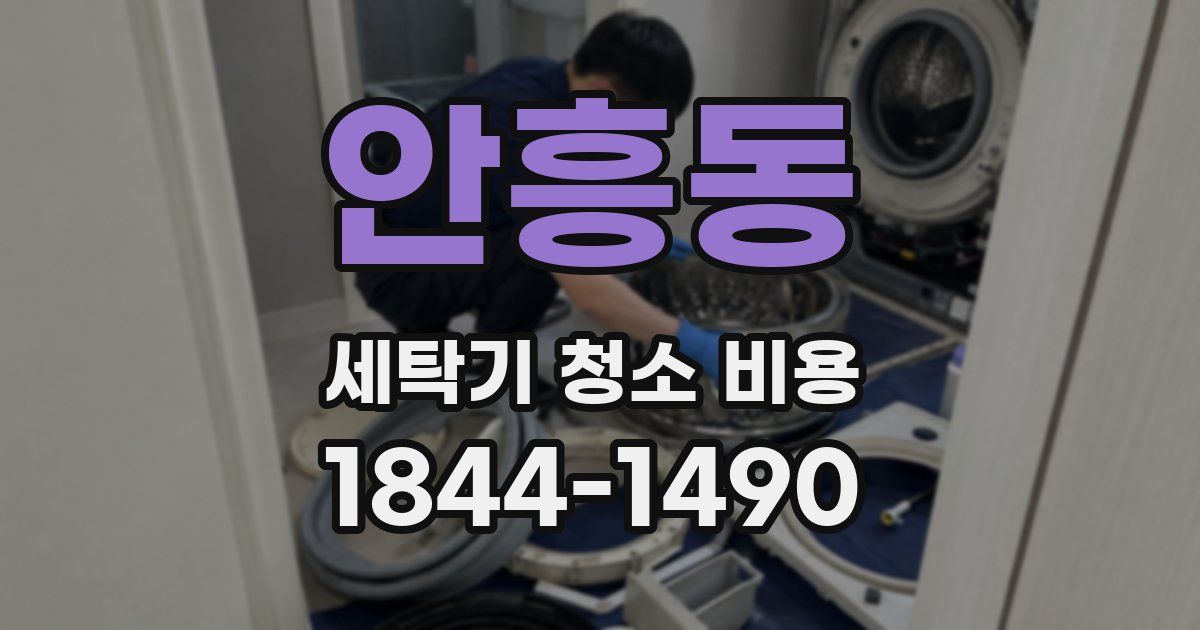 안흥동 세탁기 청소 비용