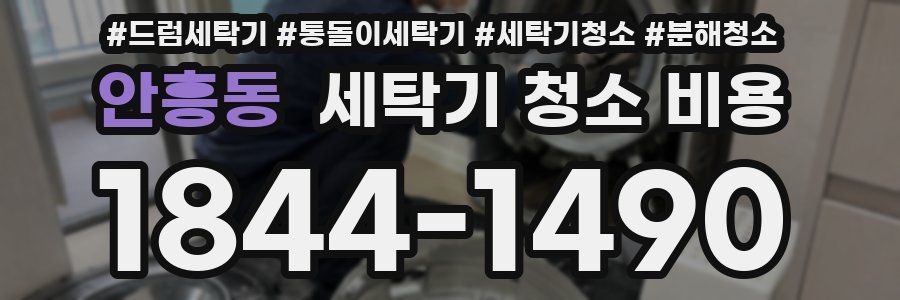 안흥동 세탁기 청소 비용