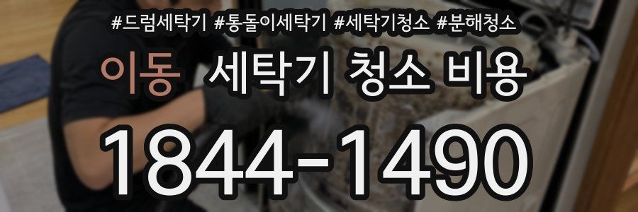 이동 세탁기 청소 비용
