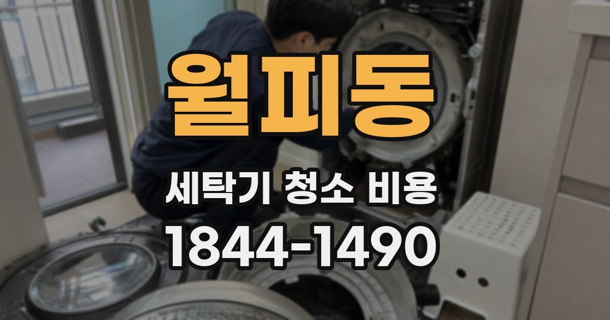 월피동 세탁기 청소 비용