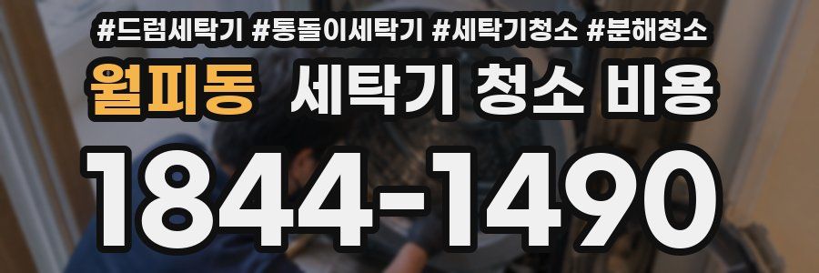 월피동 세탁기 청소 비용