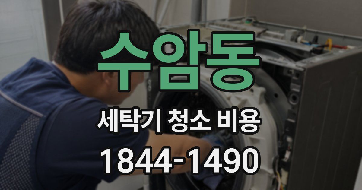 수암동 세탁기 청소 비용