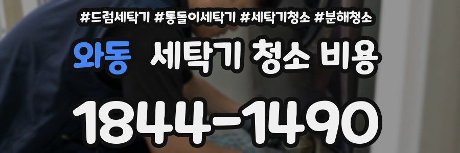 와동 세탁기 청소 비용