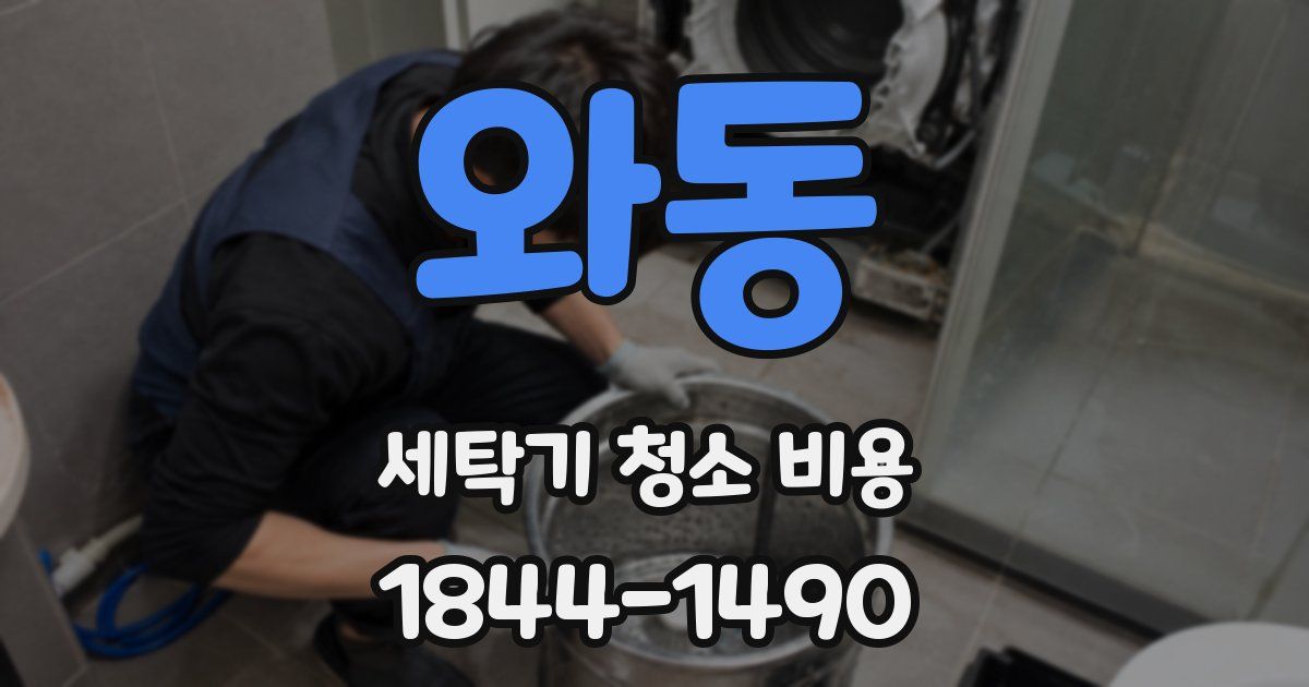 와동 세탁기 청소 비용
