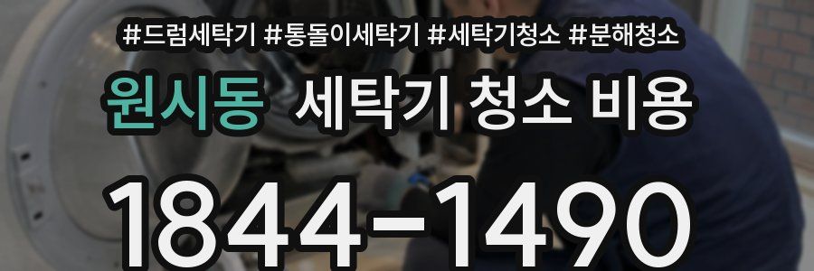 원시동 세탁기 청소 비용