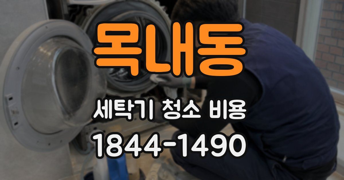 목내동 세탁기 청소 비용