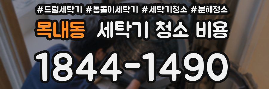 목내동 세탁기 청소 비용