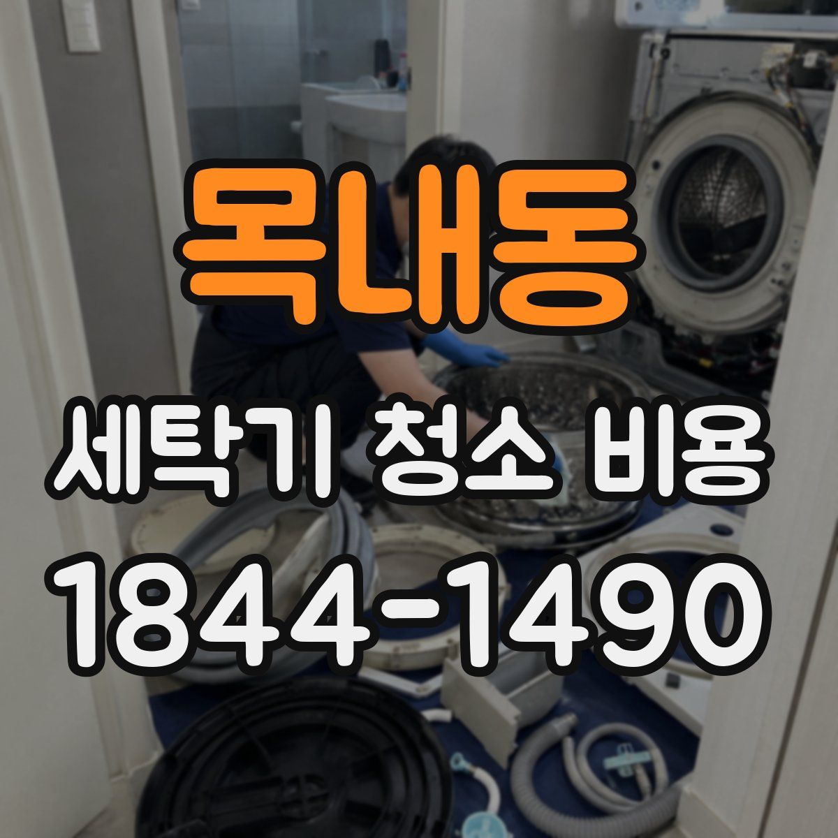 목내동 세탁기 청소 비용