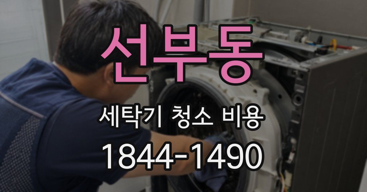 선부동 세탁기 청소 비용
