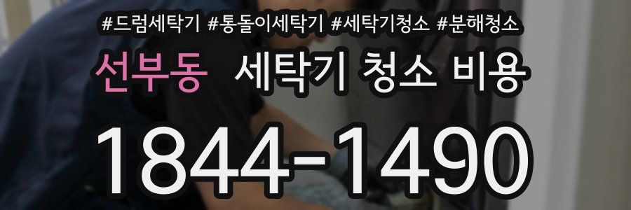 선부동 세탁기 청소 비용