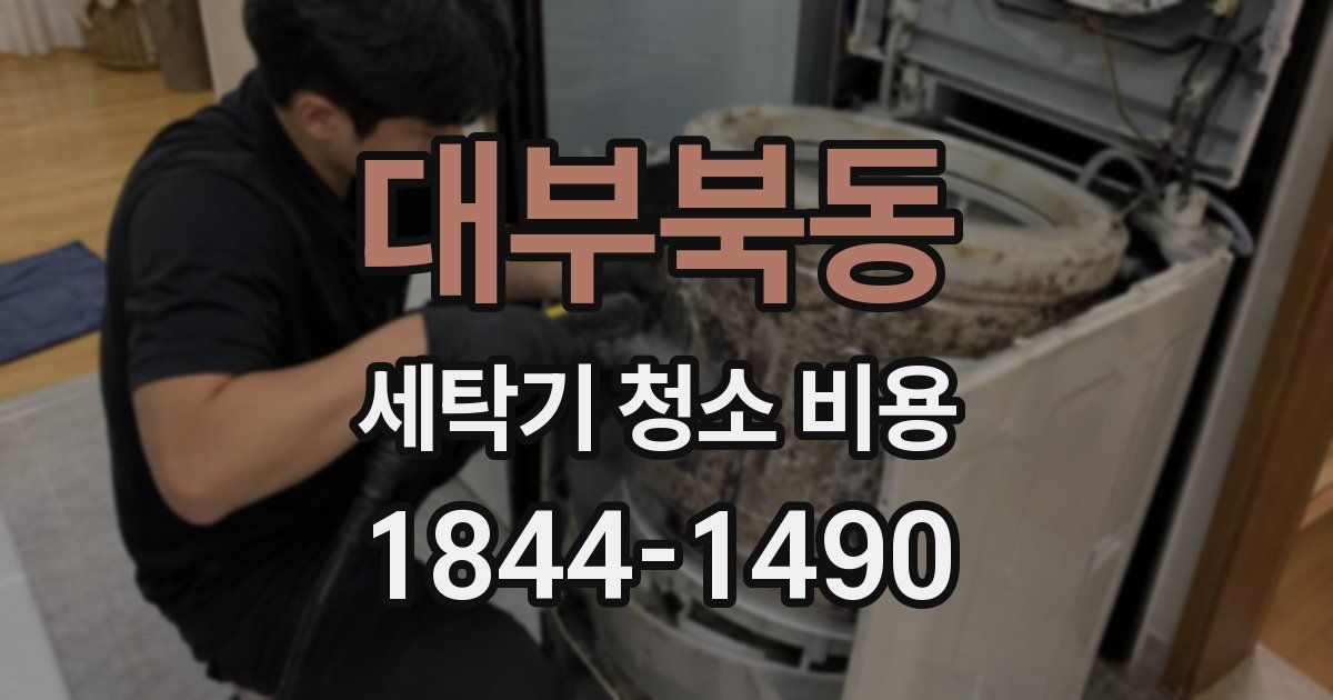 대부북동 세탁기 청소 비용