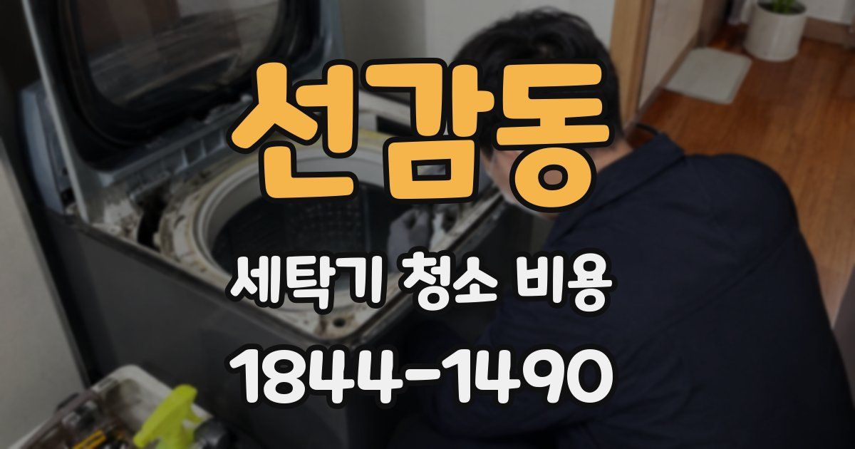 선감동 세탁기 청소 비용