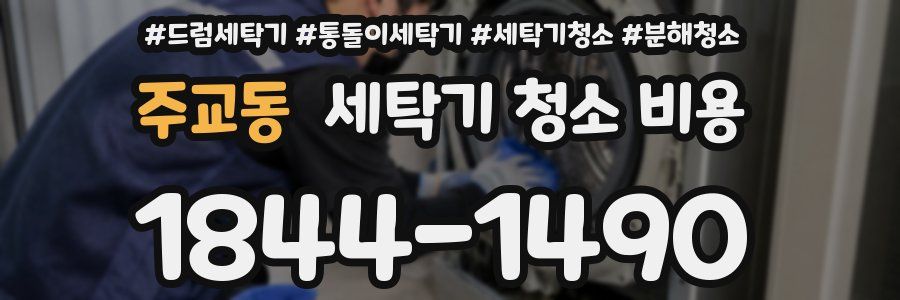 주교동 세탁기 청소 비용