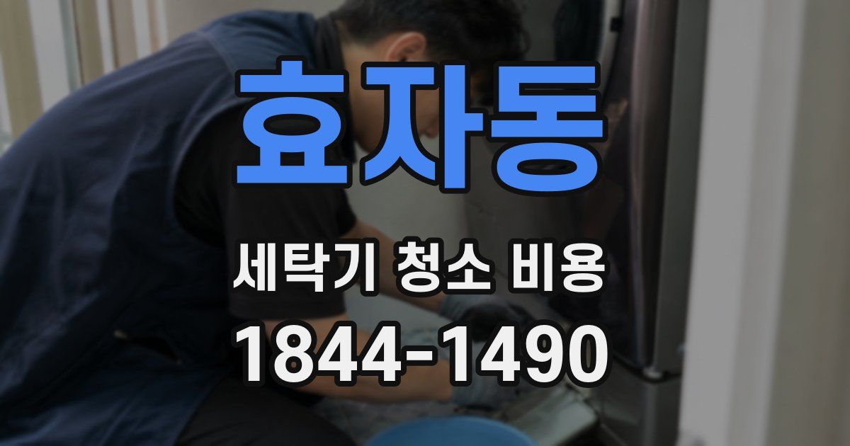 효자동 세탁기 청소 비용