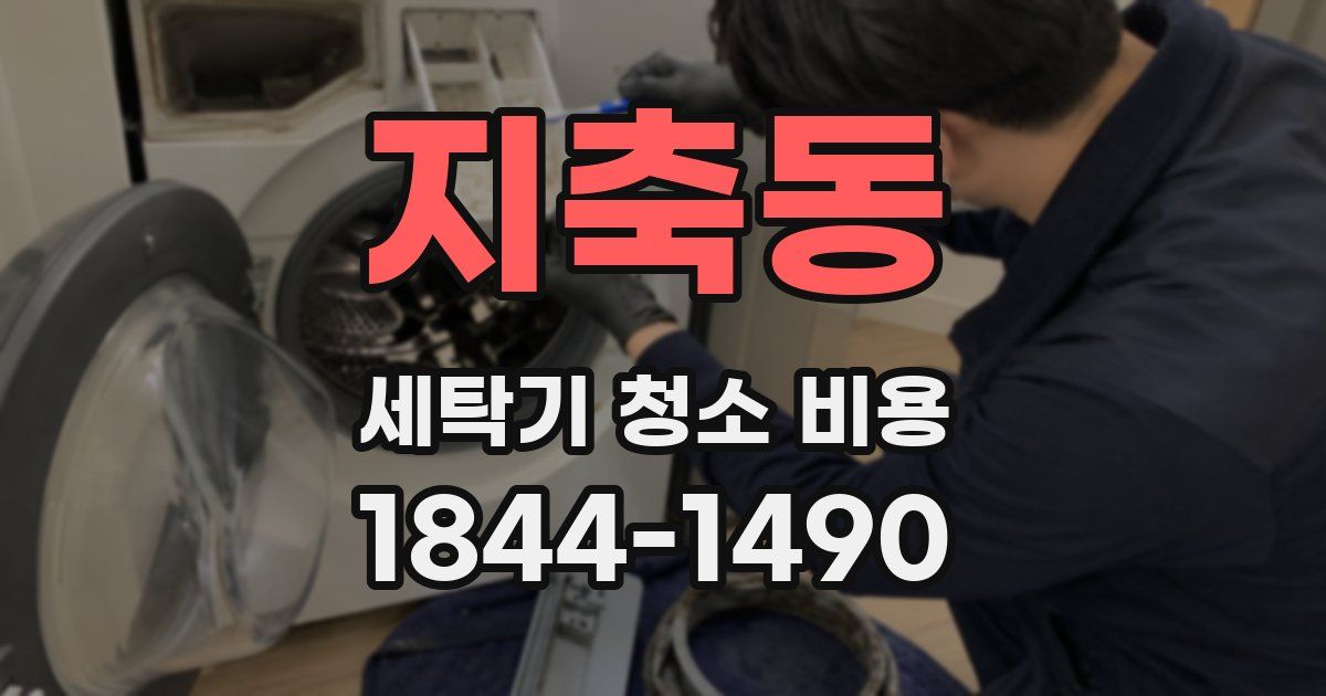 지축동 세탁기 청소 비용