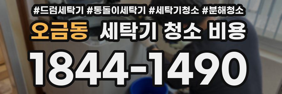 오금동 세탁기 청소 비용
