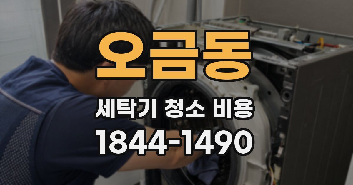 오금동 세탁기 청소 비용
