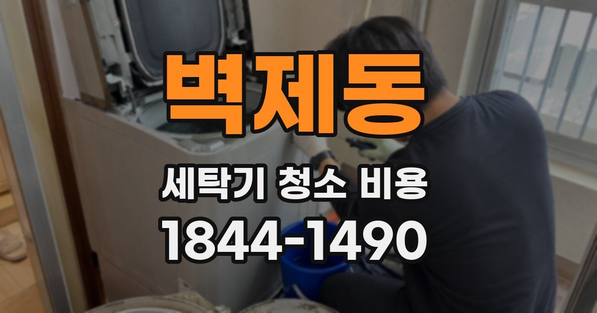 벽제동 세탁기 청소 비용