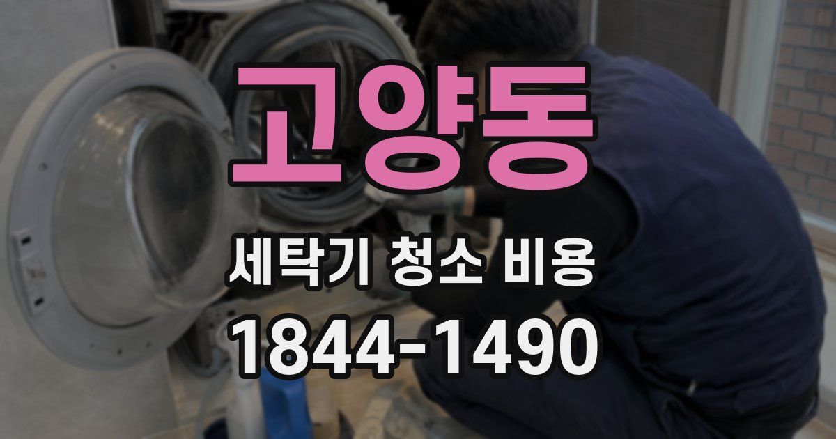 고양동 세탁기 청소 비용