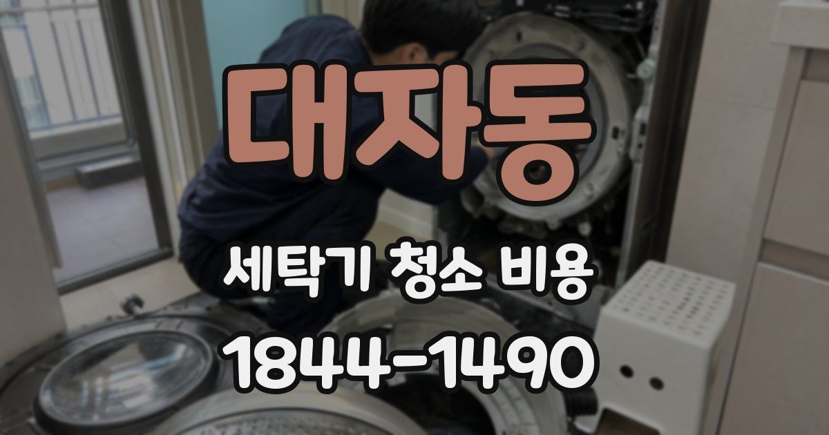 대자동 세탁기 청소 비용