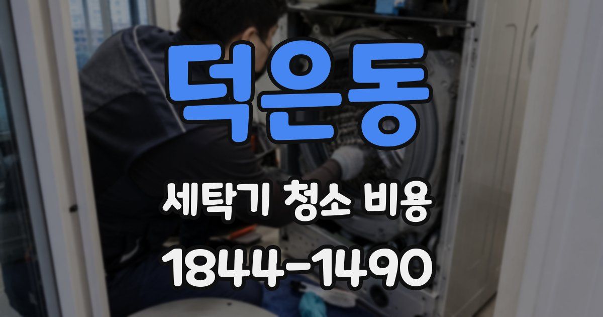 덕은동 세탁기 청소 비용