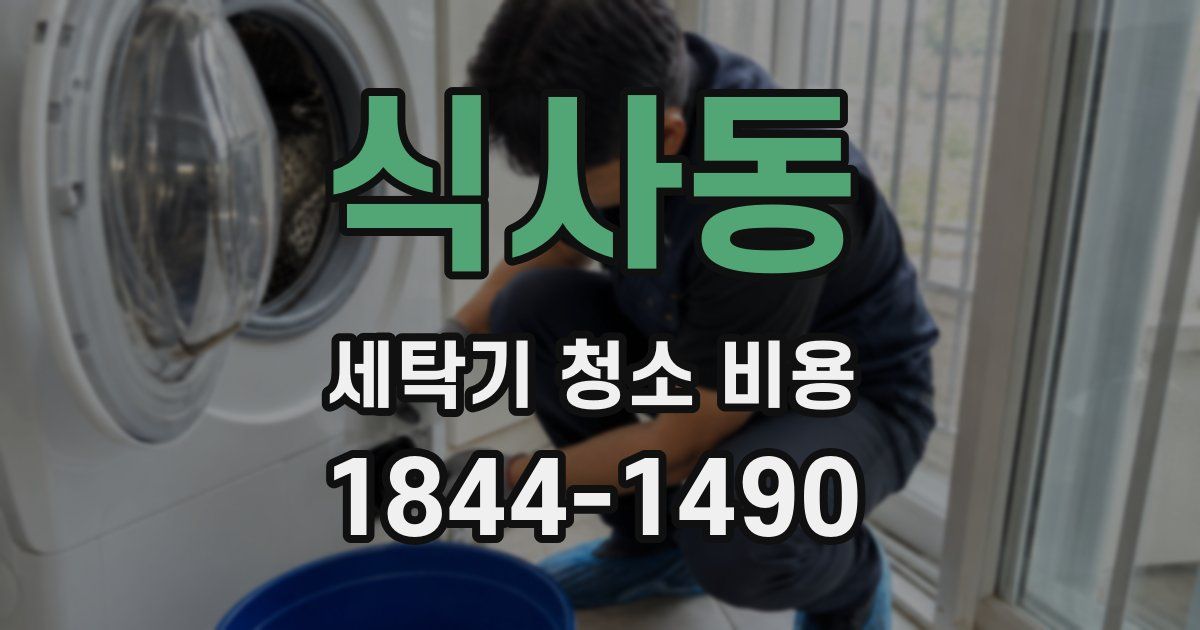 식사동 세탁기 청소 비용
