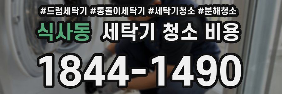식사동 세탁기 청소 비용